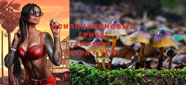МДПВ Покачи