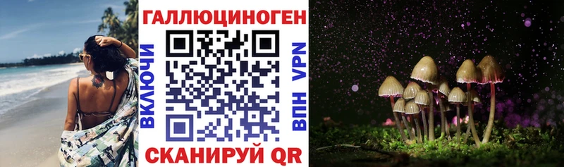 blacksprut вход  Светлогорск  Галлюциногенные грибы ЛСД 